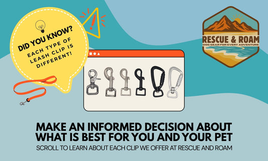 Choosing the Right Leash Clip: A Guide to Rescue & Roam Hardware 🐾