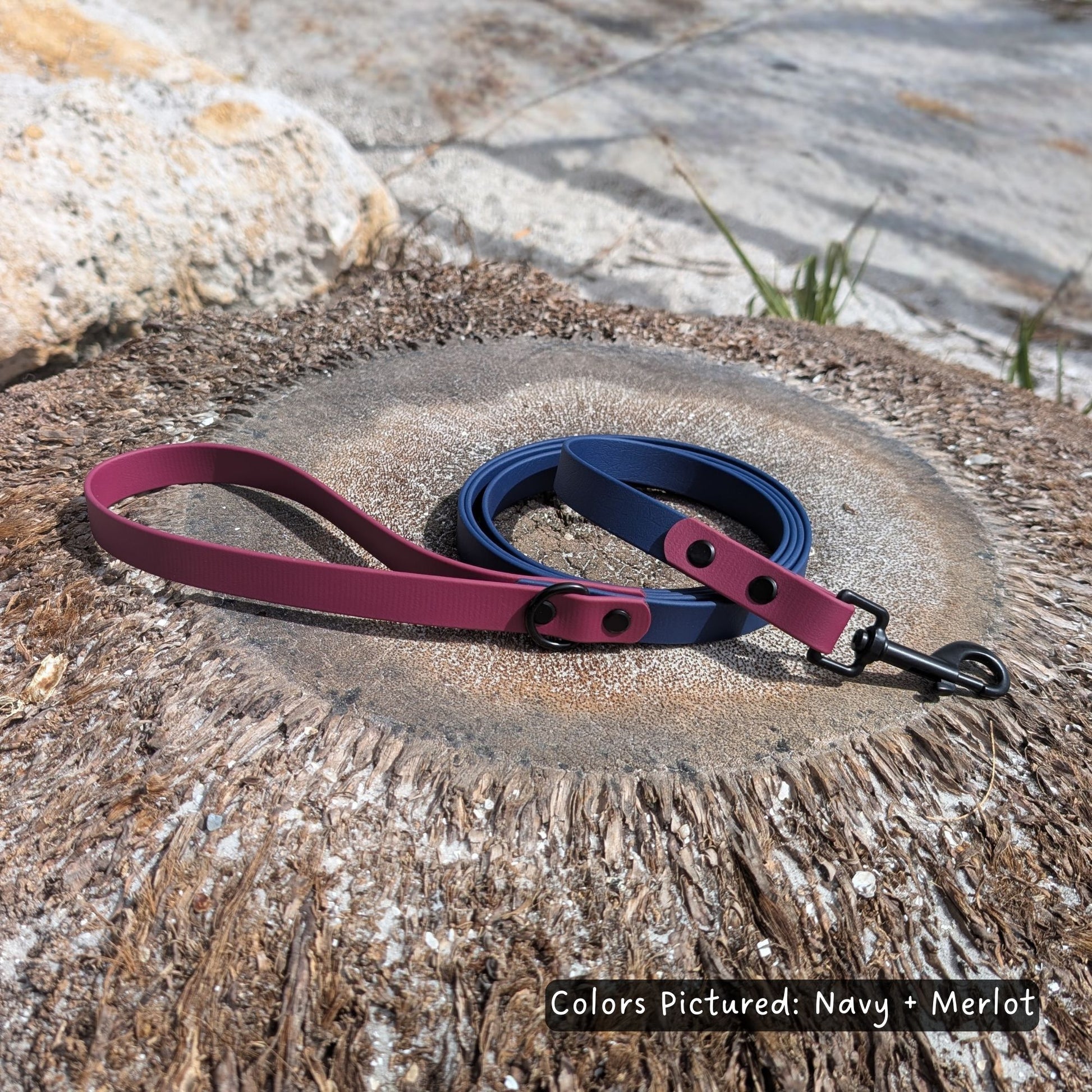 Navy and merlot dog leash on a palm tree stump with a natural beach background.