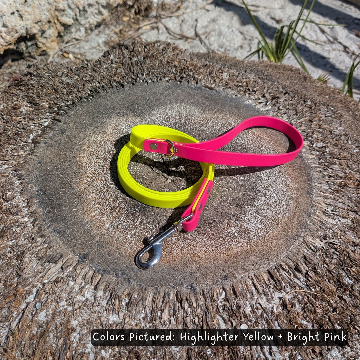 Highlighter yellow and bright pink dog leash on a palm tree stump, with text indicating the colors.