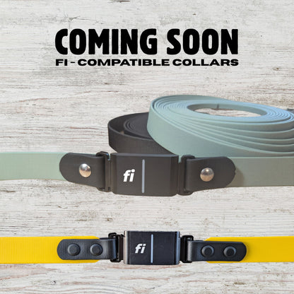 Two Fi Compatible dog collars, laying on a wooden background and text that says "coming soon"