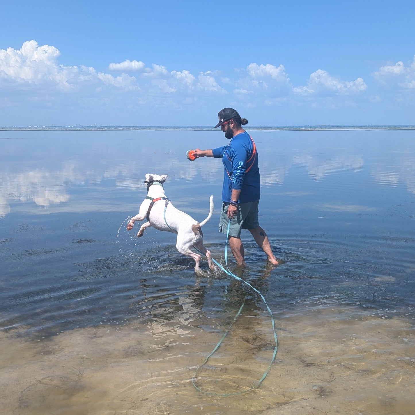 Man playing with a dog in shallow water on a sunny day. They are using a light blue long line leash. 