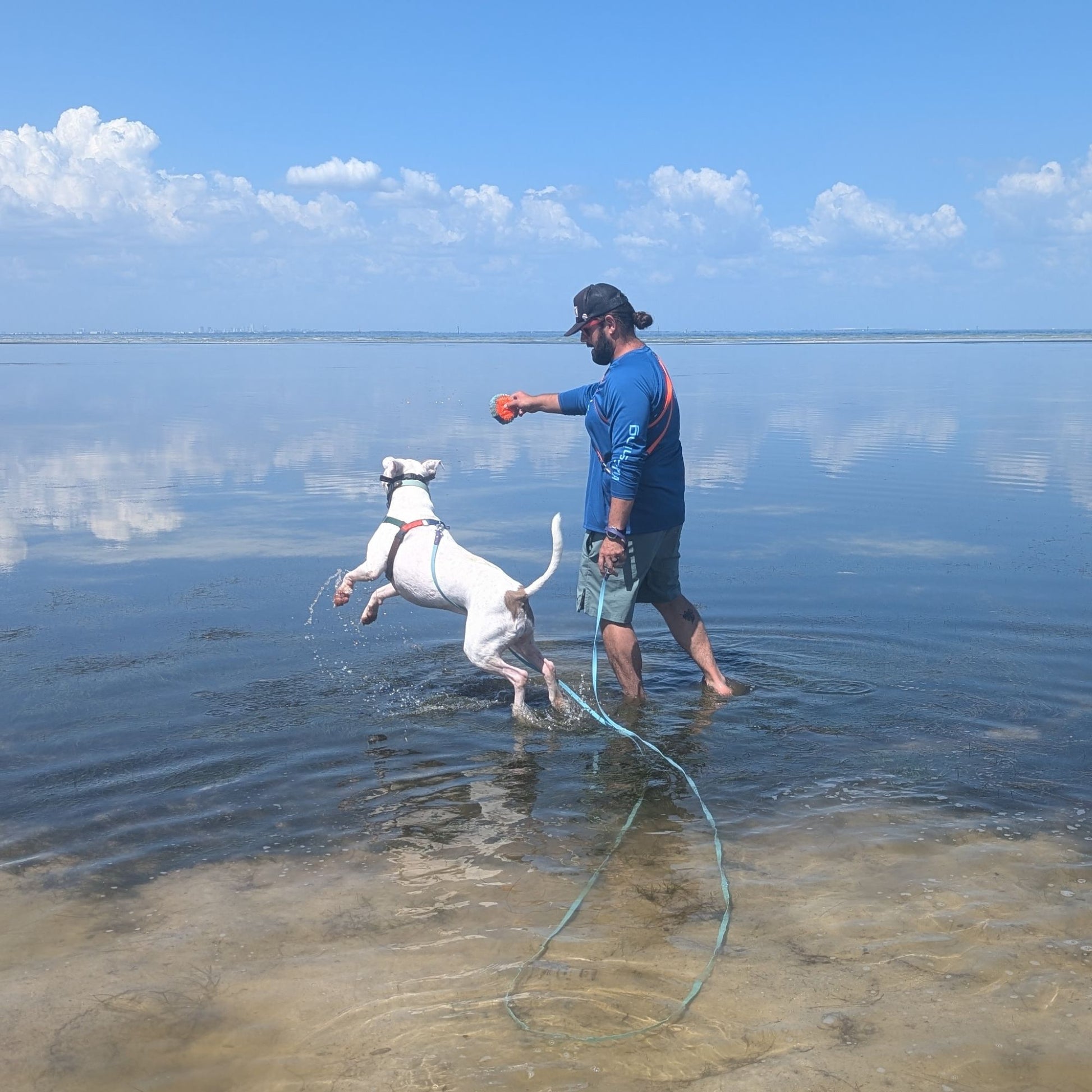 Man playing with a dog in shallow water on a sunny day. They are using a light blue long line leash. 