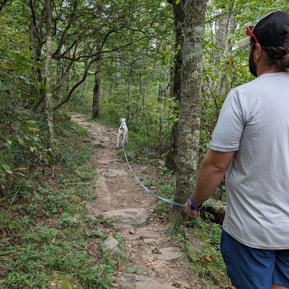 Man walking a dog on a leash along a forest trail, using a long line style leash that is light blue.