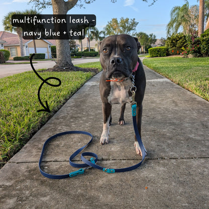 Black dog on a sidewalk with a multifunctional leash in navy blue and teal, labeled 'multifunctional leash - navy blue + teal'.