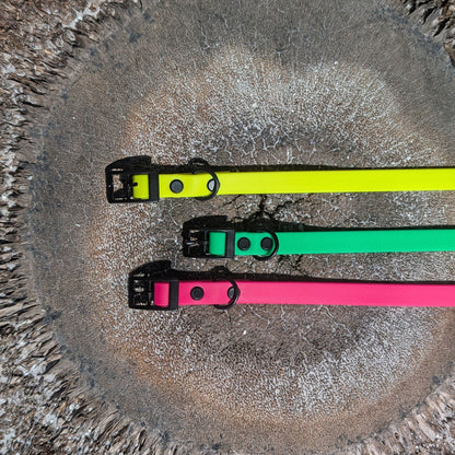 Three colorful dog collars (green, pink, and yellow) on a textured surface.