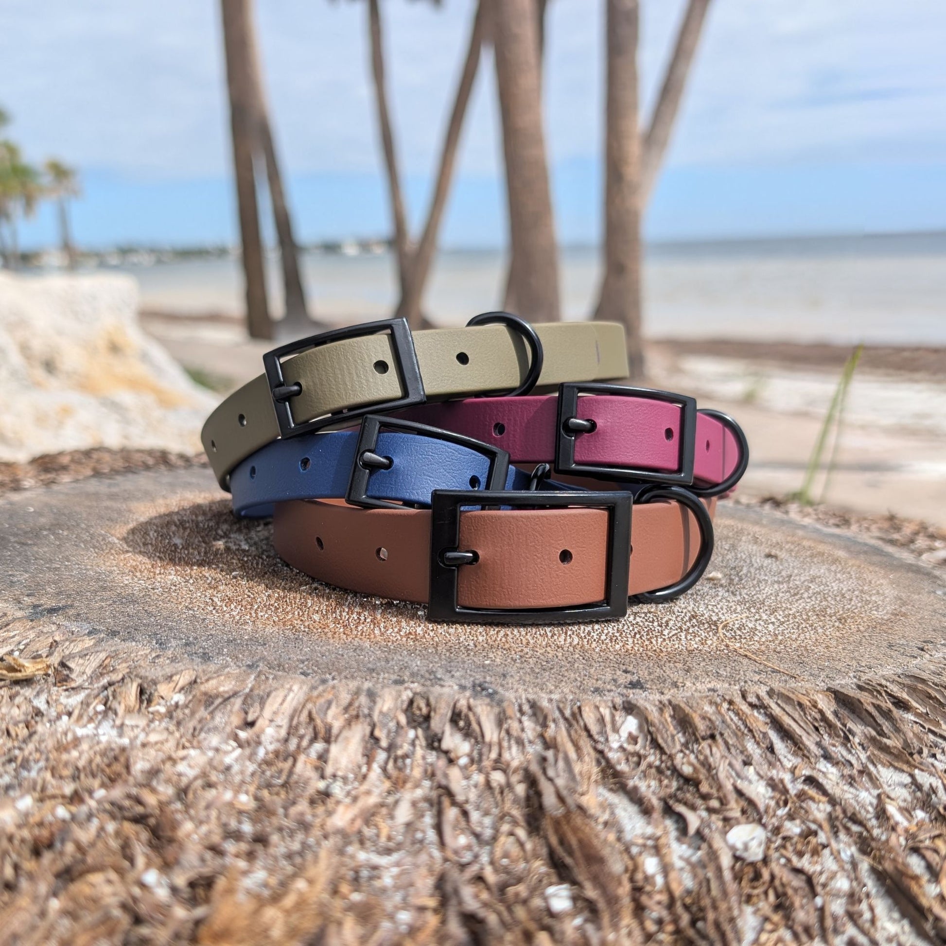 Set of dog collars in various colors on a palm tree stump with a beach background