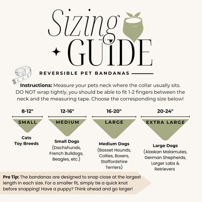 Sizing guide for reversible pet bandanas with measurements for cats, small, medium, and large dogs.