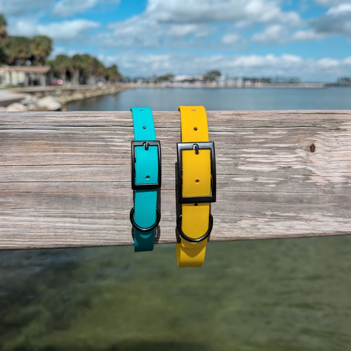 Two dog collars, one teal and one yellow, on a wooden dock with water and sky in the background.