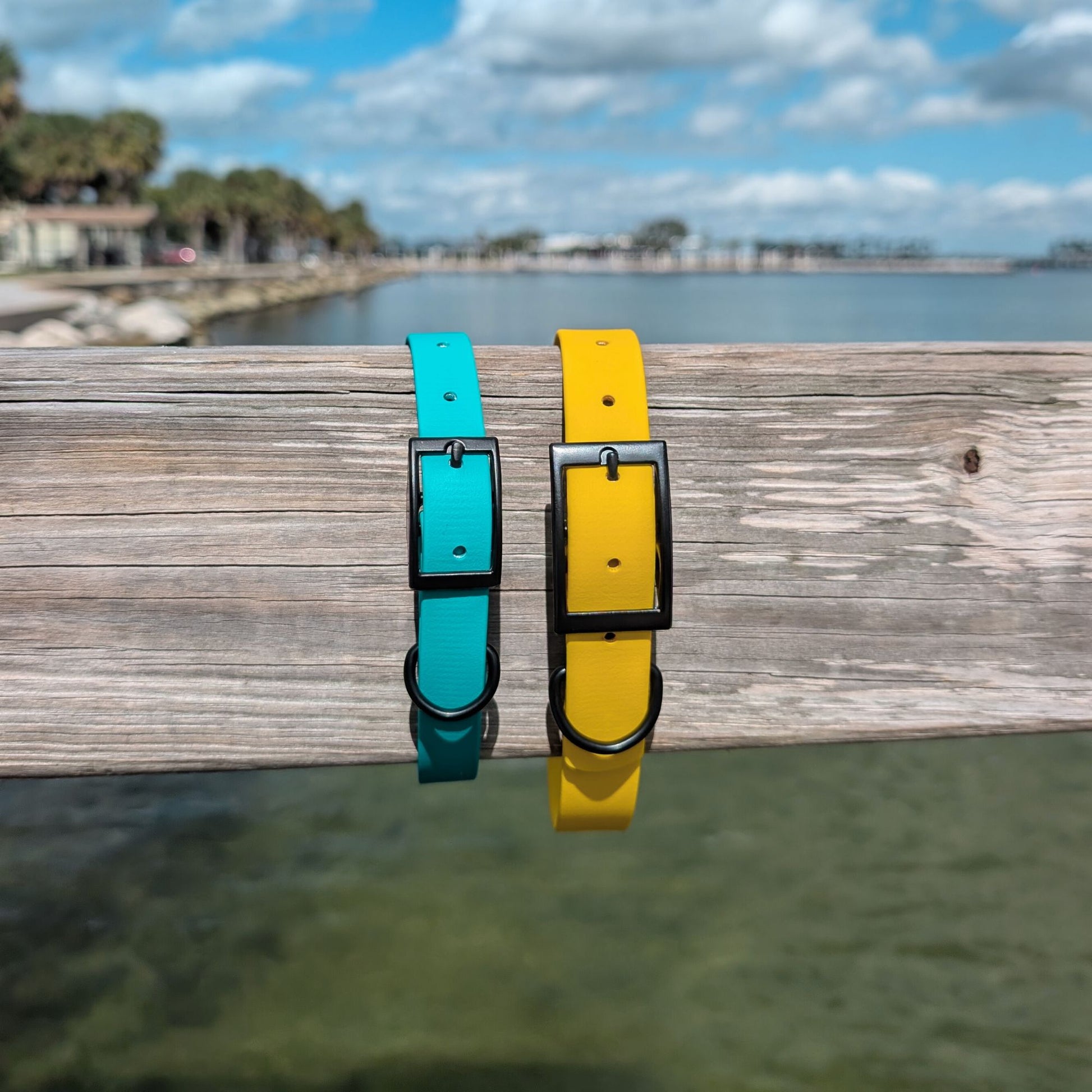 Two dog collars, one teal and one yellow, on a wooden dock with water and sky in the background.