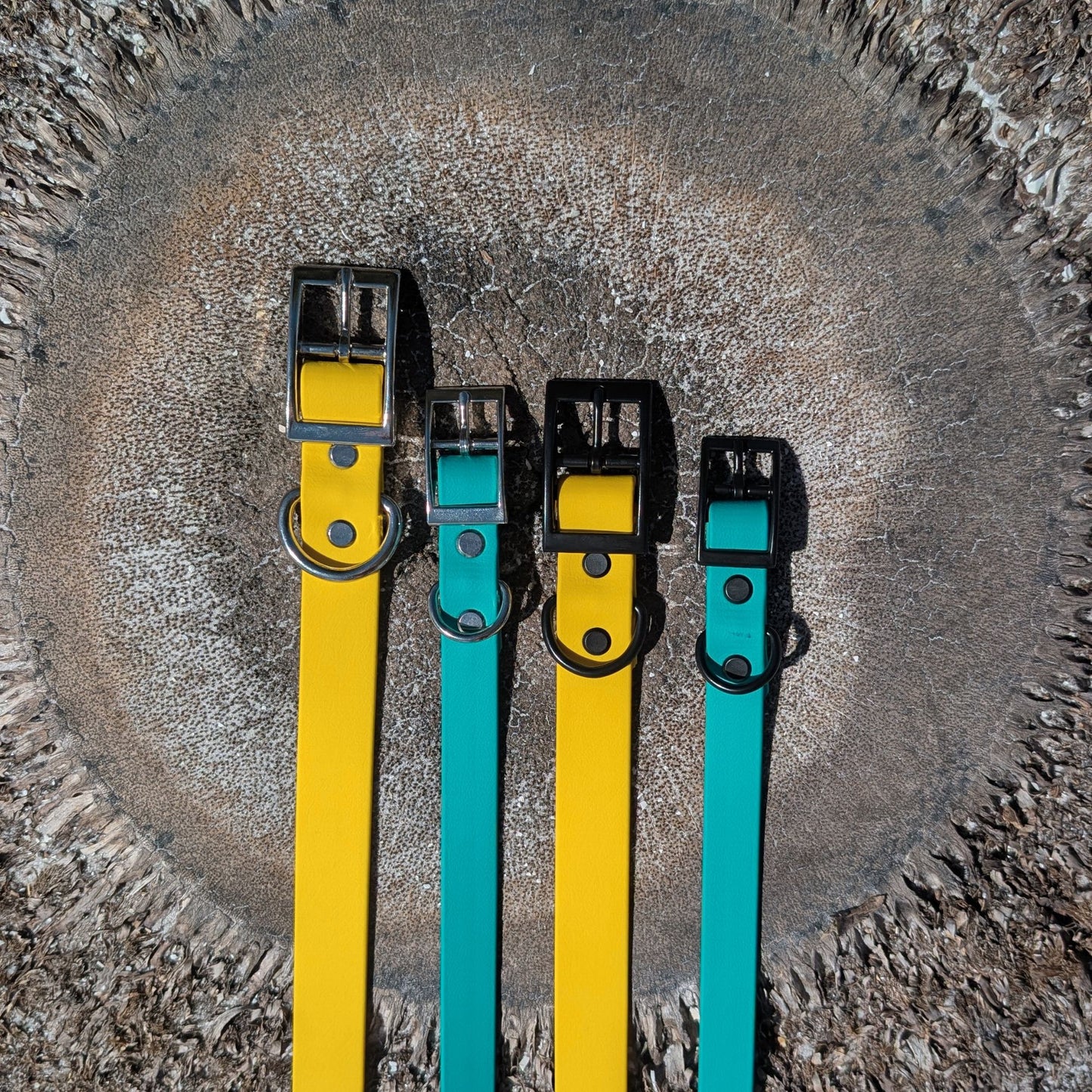 Four dog collars in yellow and teal laying flat on a palm tree stump. 
