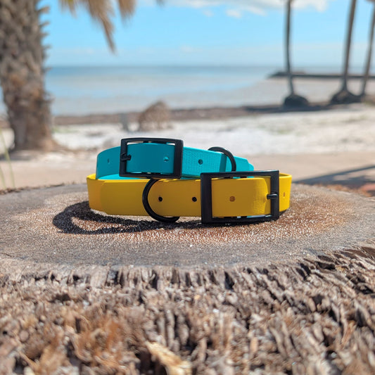 Two dog collars, one teal and one yellow, on a palm tree stump with a beach background.