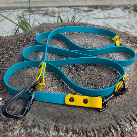 Teal multifunction dog leash with yellow accents and black clips on a palm tree stump and sandy beach background