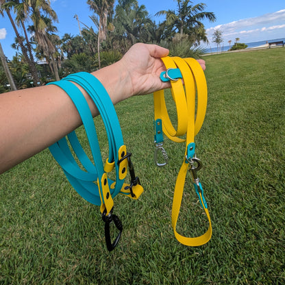 Hand holding teal and yellow multifunction dog leashes with a park background
