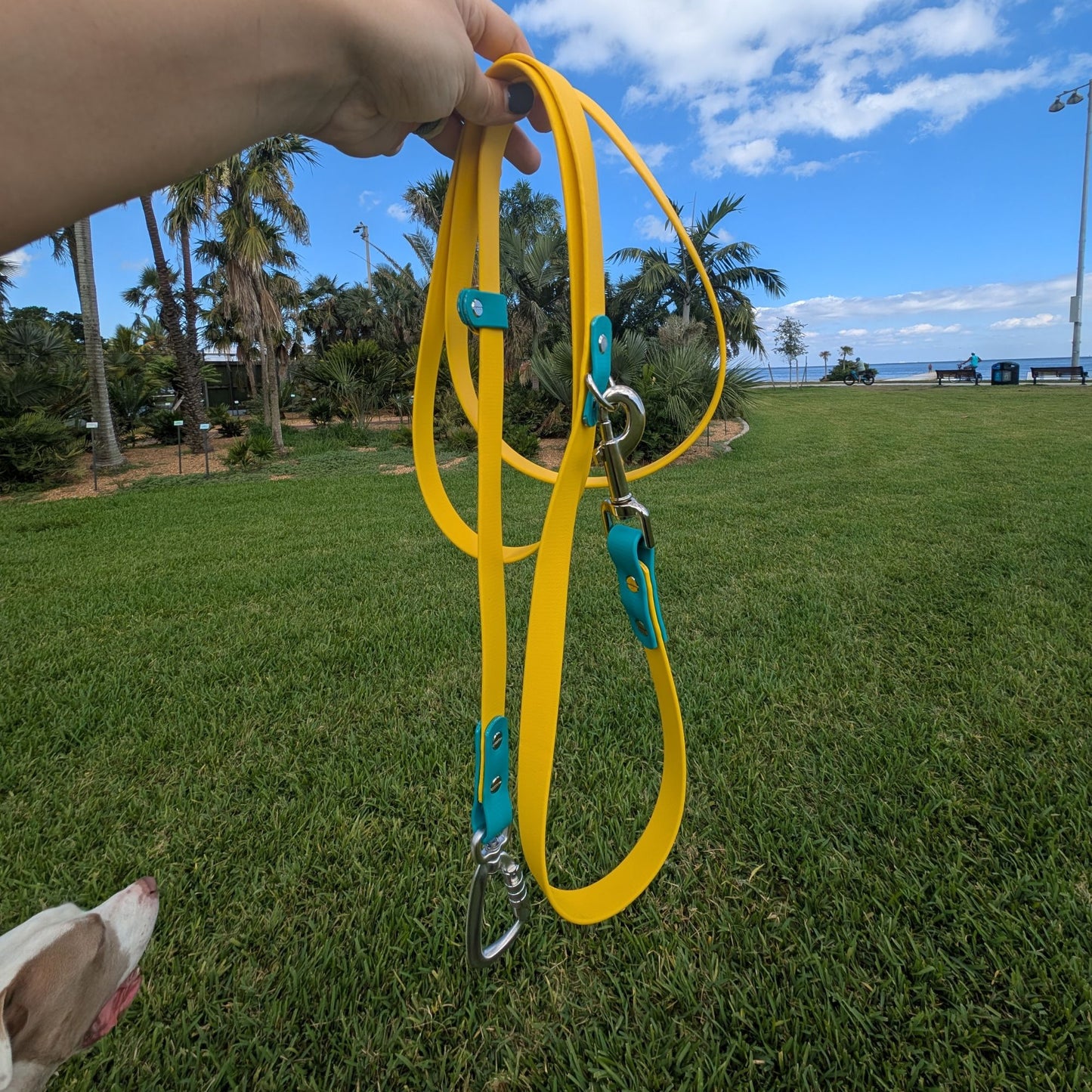 Yellow dog leash with teal accents held by a hand on grass with palm trees and clear blue sky in the background