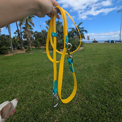 Yellow dog leash with teal accents held by a hand on grass with palm trees and clear blue sky in the background