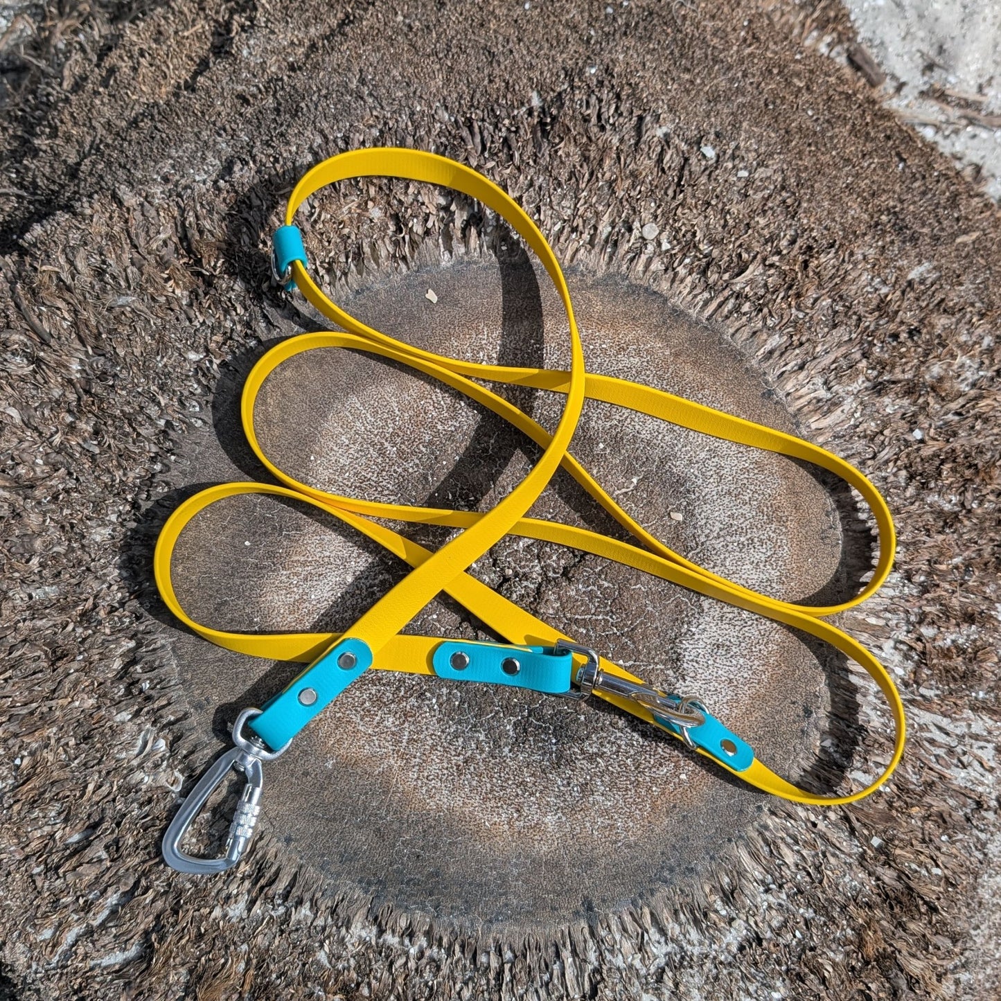 Yellow dog leash with teal accents lying on a palm tree stump at a beach